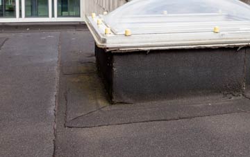 disadvantages of Ballynure flat roofs