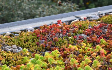 the cost of Ballynure green roof installation