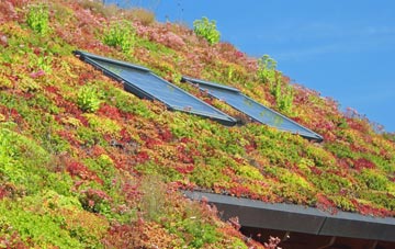 Ballynure living roof systems